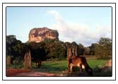 Der Felsen von Sigiriya